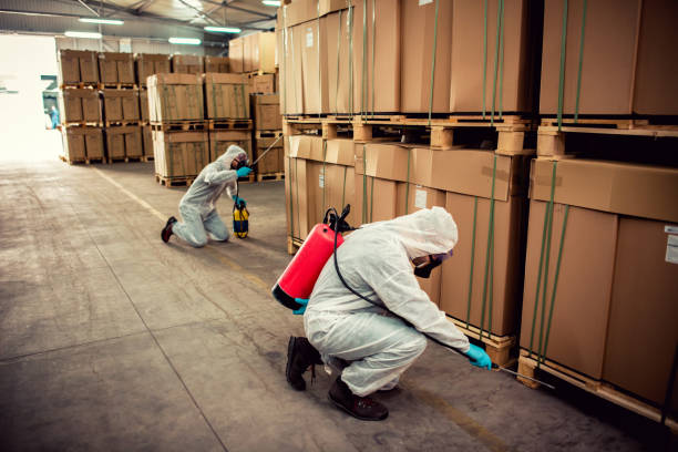 Best Pest Inspection Near Me  in Great Bend, NY