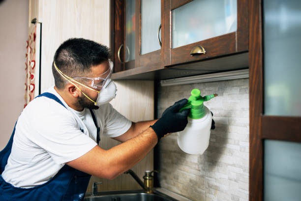 Pest Control for Restaurants in Great Bend, NY