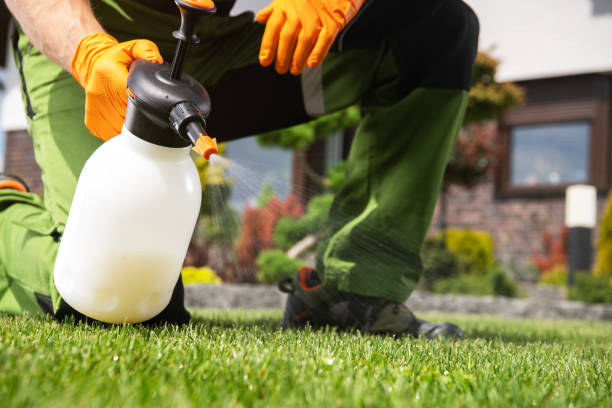 Best Commercial Pest Control Services  in Great Bend, NY