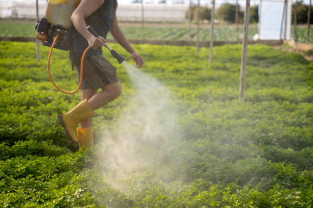 Best Commercial Pest Control Services  in Great Bend, NY