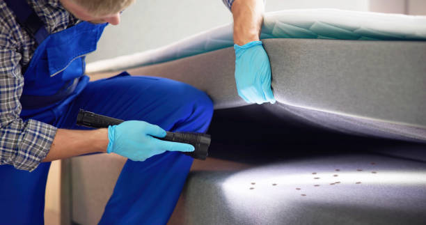 Reliable Great Bend, NY Pest Control Solutions